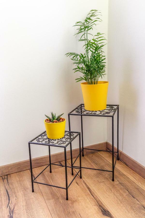 Apartment Arnold Rijeka Dış mekan fotoğraf